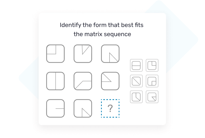 Cognitive Assessment 